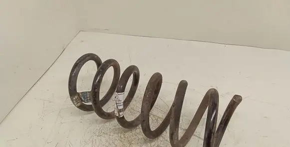 Opel Antara Rear coil spring 96843023