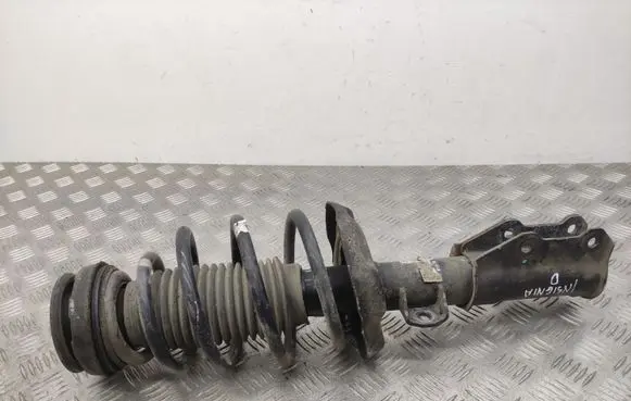 Opel Insignia A Front shock absorber/damper