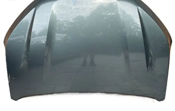Engine bonnet/hood