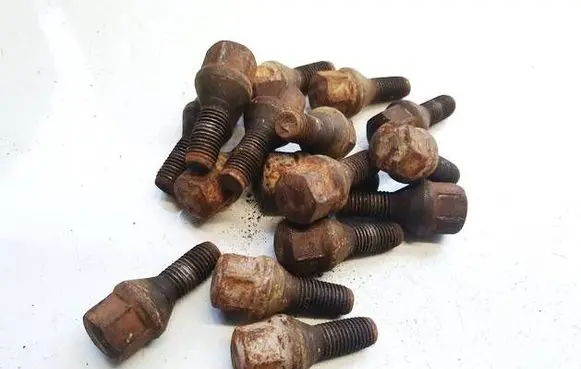 Renault Scenic I Nuts/bolts 