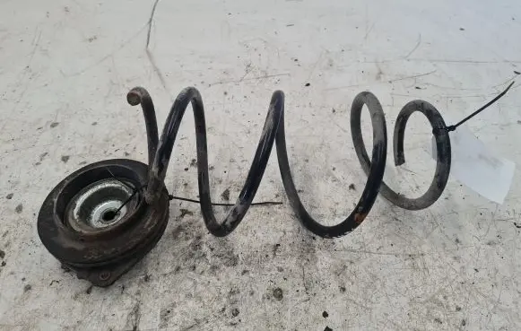 Nissan Juke I F15 Front coil spring