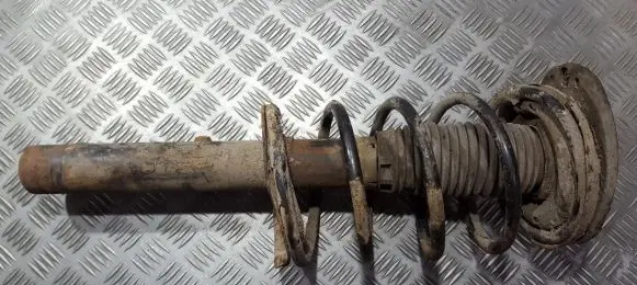 Peugeot 206 Front shock absorber/damper