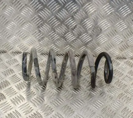 Toyota RAV 4 (XA40) Rear coil spring