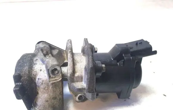 Ford Focus C-MAX EGR valve 6NU01017109