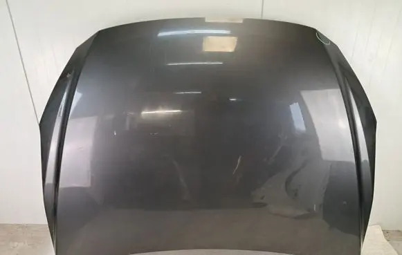 Engine bonnet/hood
