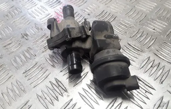 Thermostat/thermostat housing