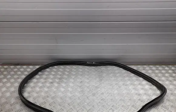 Ford Mustang VI Trunk rubber seal (body) 
