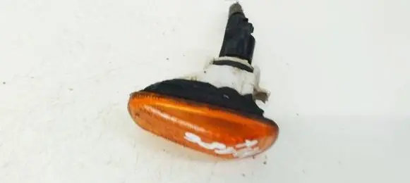 Front fender indicator light