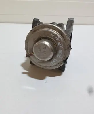 Volkswagen Golf V EGR valve 038129637D 038131501AN 226210024