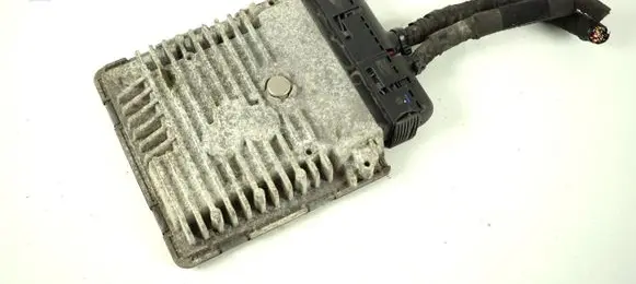 Engine control unit/module ECU
