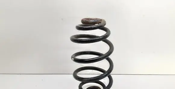Volkswagen PASSAT B5 Rear coil spring