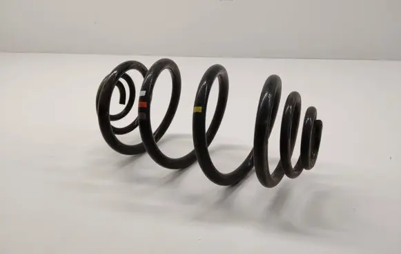 Rear coil spring