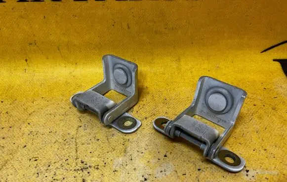 Dacia Sandero III Tailgate/trunk/boot hinge 844002173R