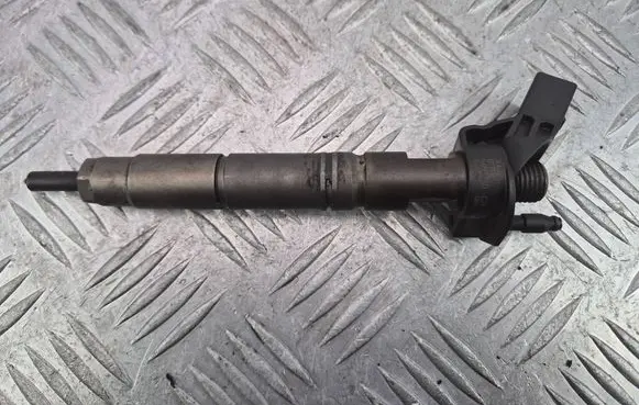 Mercedes-Benz CLS C219 Fuel injector A6420701387 0445115