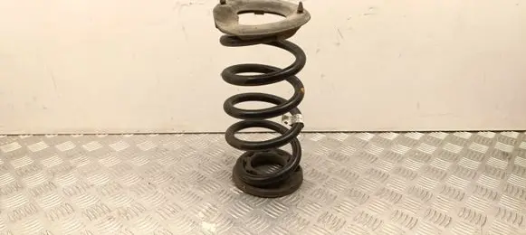 Tesla Model Y Rear coil spring 118847600B