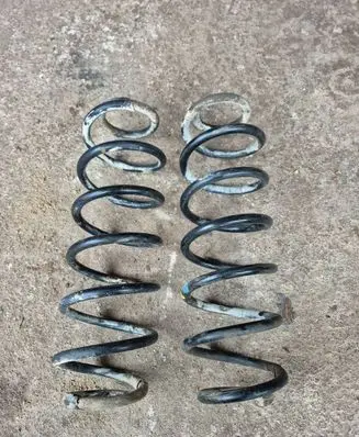 Rear coil spring