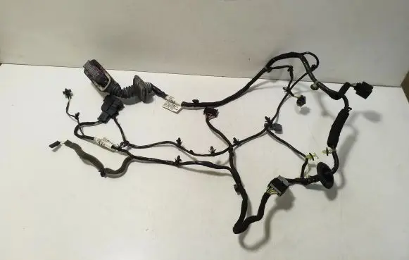 Front door wiring loom