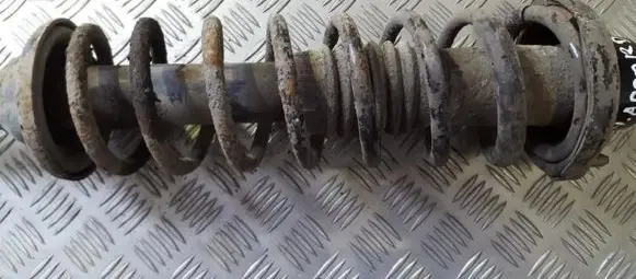 Honda Accord Rear coil spring