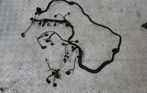 Volkswagen Golf VI Other wiring loom 