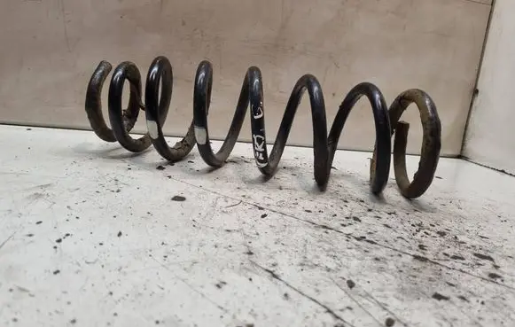 Rear coil spring