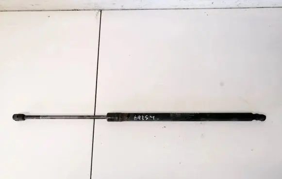 Tailgate/trunk strut/damper