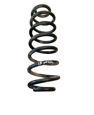 Volkswagen PASSAT B6 Rear coil spring