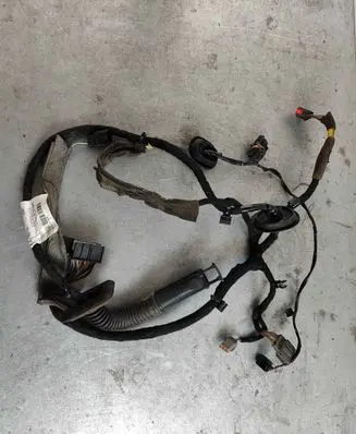 Front door wiring loom