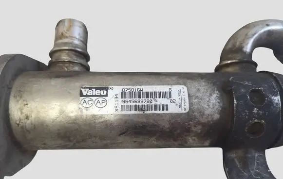 Peugeot 407 EGR valve cooler 9645689780 875816W