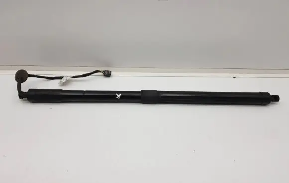 Tailgate strut