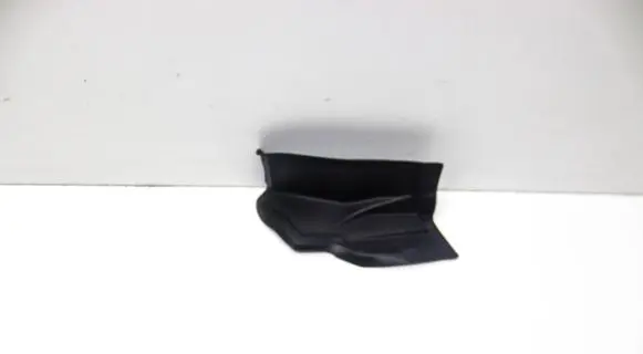 Rear/tail light trim molding