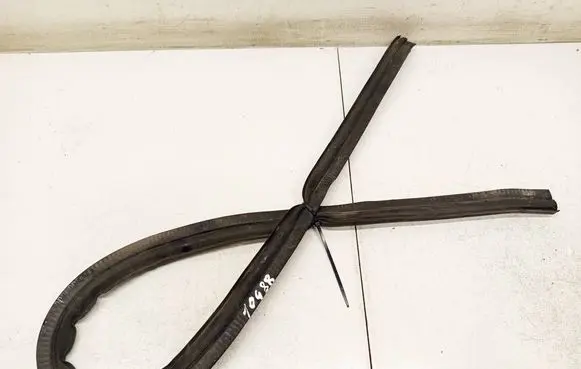Renault Megane I Rubber seal front coupe door