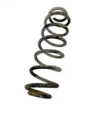 Rear coil spring