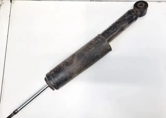 Opel Insignia A Rear shock absorber/damper 3114202