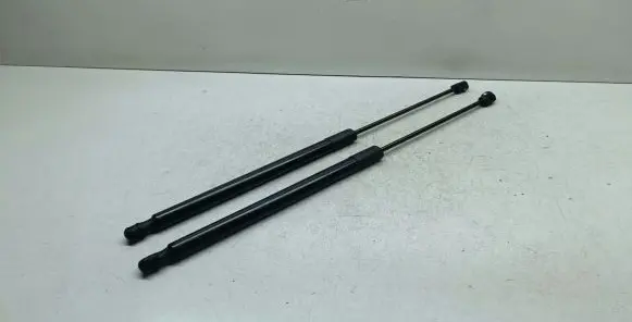 Tailgate/trunk strut/damper