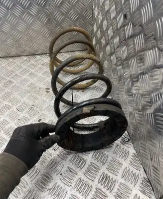 Rear coil spring