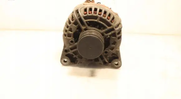 Renault Kangoo II Generator/alternator 028903028D