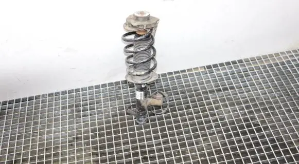 Volkswagen PASSAT CC Front shock absorber/damper 3C0413031D