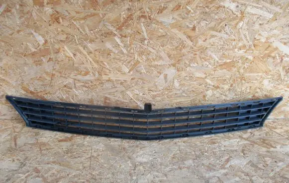 Mercedes-Benz B W245 Front bumper lower grill A1698850123