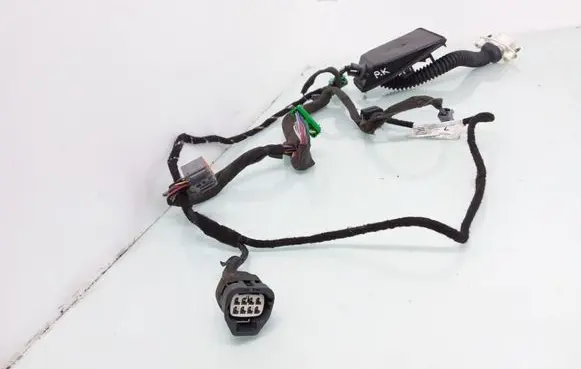 Front door wiring loom