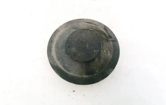 Volkswagen PASSAT B6 Headlight/headlamp dust cover