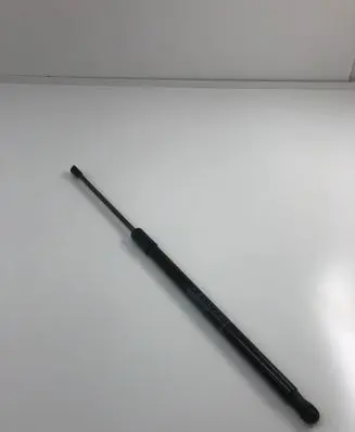 Tailgate/trunk strut/damper