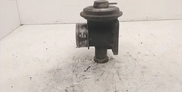 BMW 3 E46 EGR valve 7785452