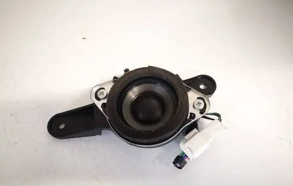 Front door speaker
