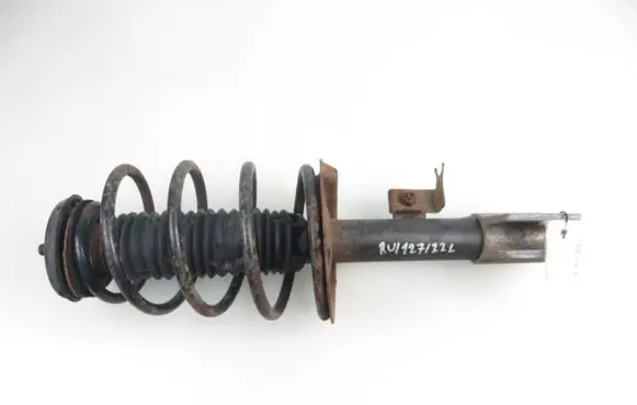 Citroen C4 I Front shock absorber with coil spring 