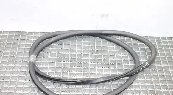 Volkswagen Phaeton Rubber seal front door (on door) 
