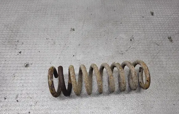Chrysler Pacifica Rear coil spring