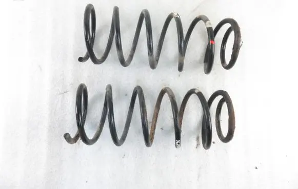 Hyundai i20 (PB PBT) Rear coil spring