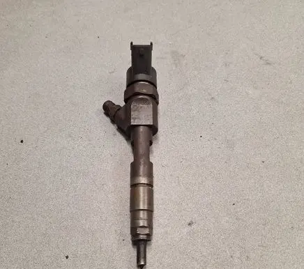 Renault Laguna II Fuel injector 0445110178 2474 48228