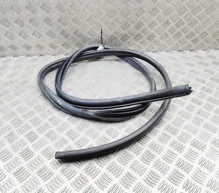 Mitsubishi L200 Rubber seal front coupe door 5725A311