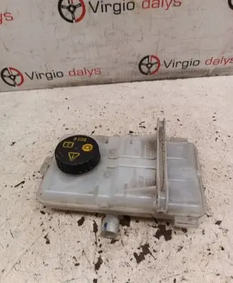Renault Kangoo III Brake fluid reservoir 460913338r